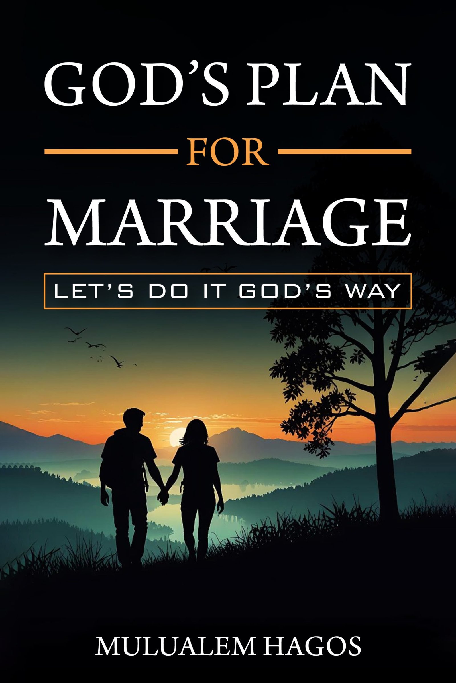 God's Plan of Marriage book cover